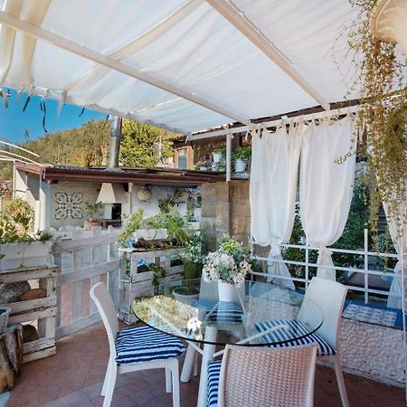 Maison Vico94 فيكو إيكوينس المظهر الخارجي الصورة
